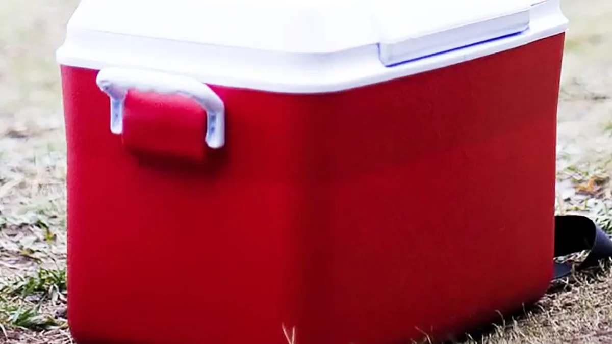 Red cooler with white lid, ready for dry ice and picnic supplies.