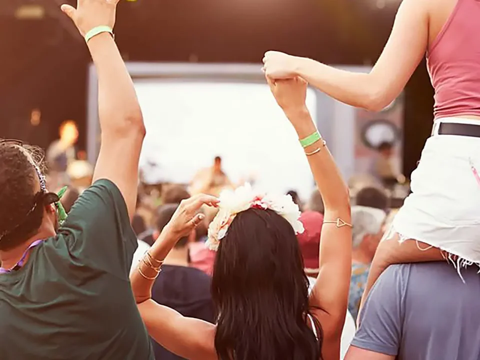 Happy festival-goers enjoying a concert.