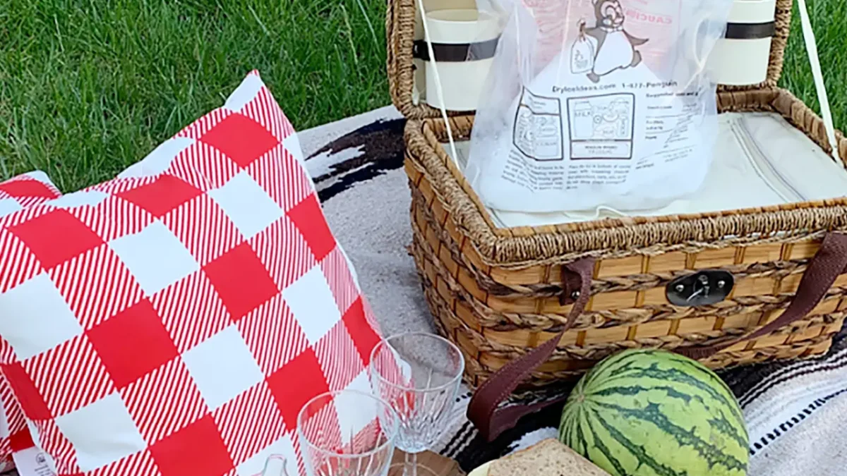 Picnic basket with "Cooler Than Ice" dry ice, watermelon, and sandwiches.