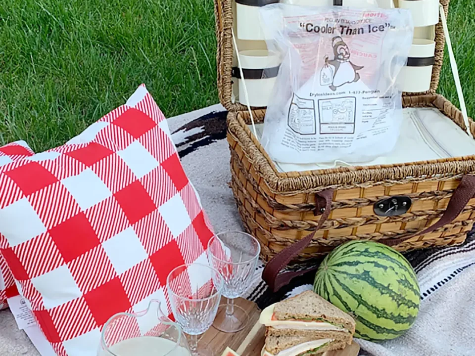 Picnic basket with "Cooler Than Ice" dry ice, watermelon, and sandwiches.